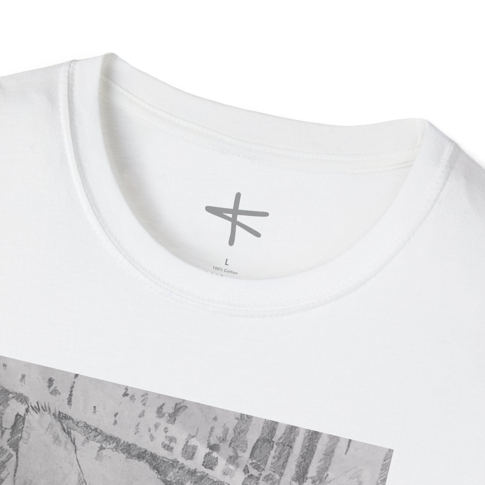 Cat Image (for Unisex Softstyle T-Shirt)